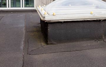disadvantages of Albert Village flat roofs