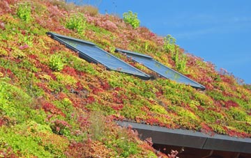 Albert Village living roof systems