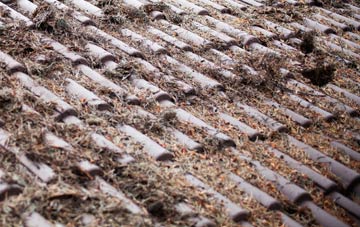 Albert Village roof cleaning companies